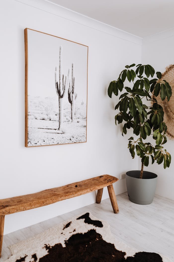 Interior of modern apartment with potted plant and painting